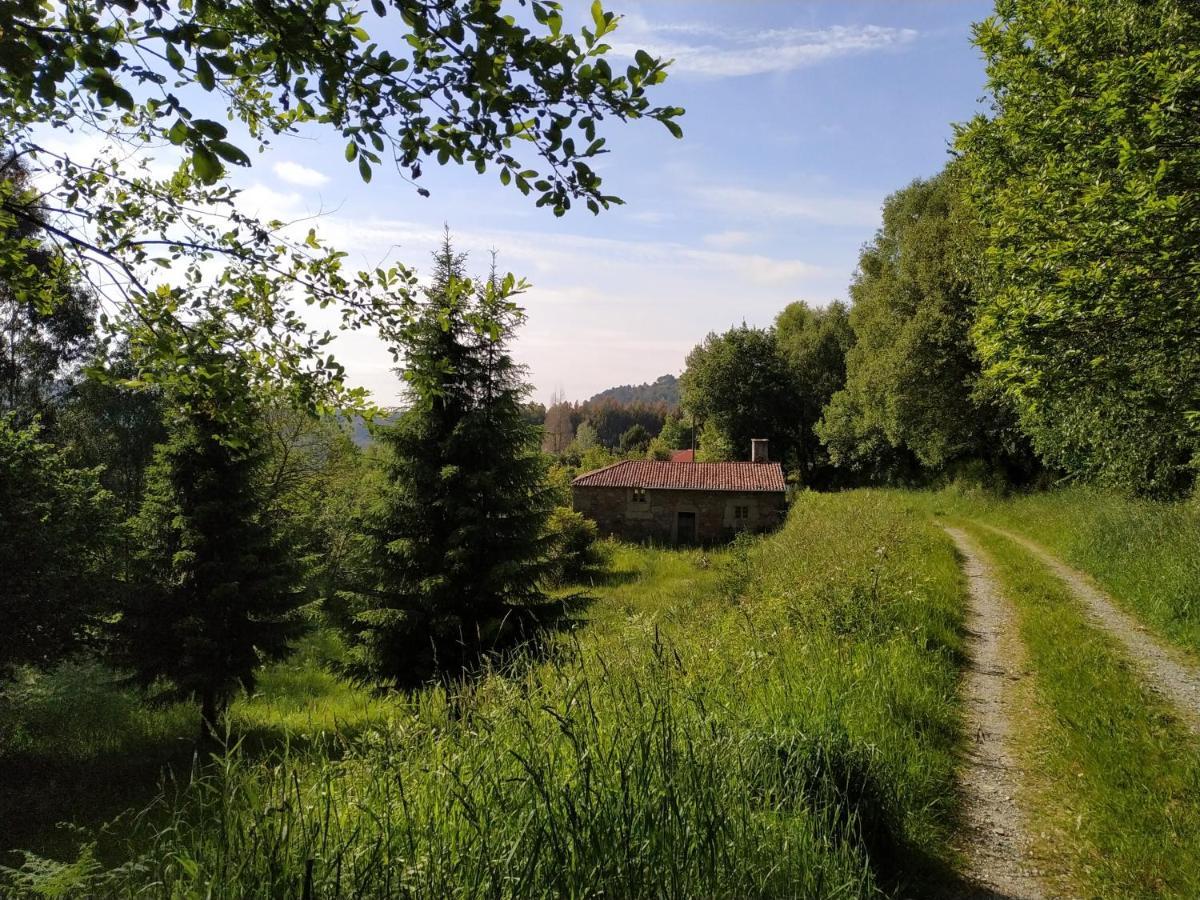 A Casa Dos Avos - Vilarino - A Coruna Екстер'єр фото