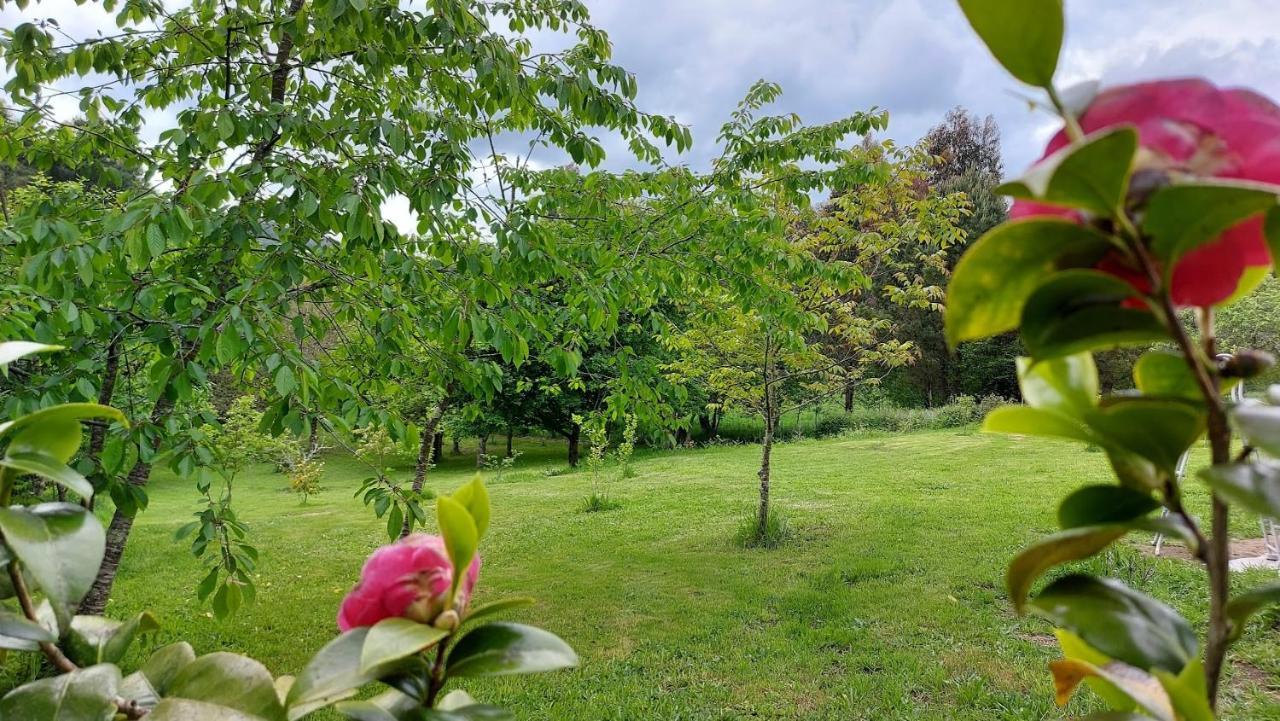 A Casa Dos Avos - Vilarino - A Coruna Екстер'єр фото